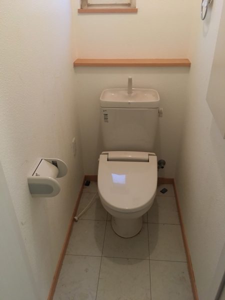 toilet-change-before