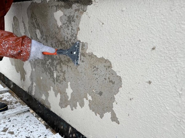 外壁塗装の剥がれはなぜ起きる？原因や補修方法を解説サムネイル